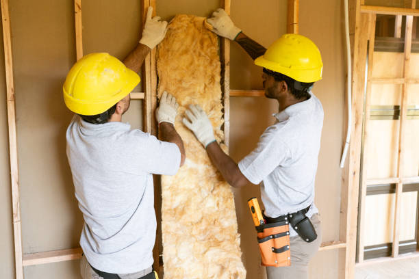 Professional Insulation in Freeman, SD